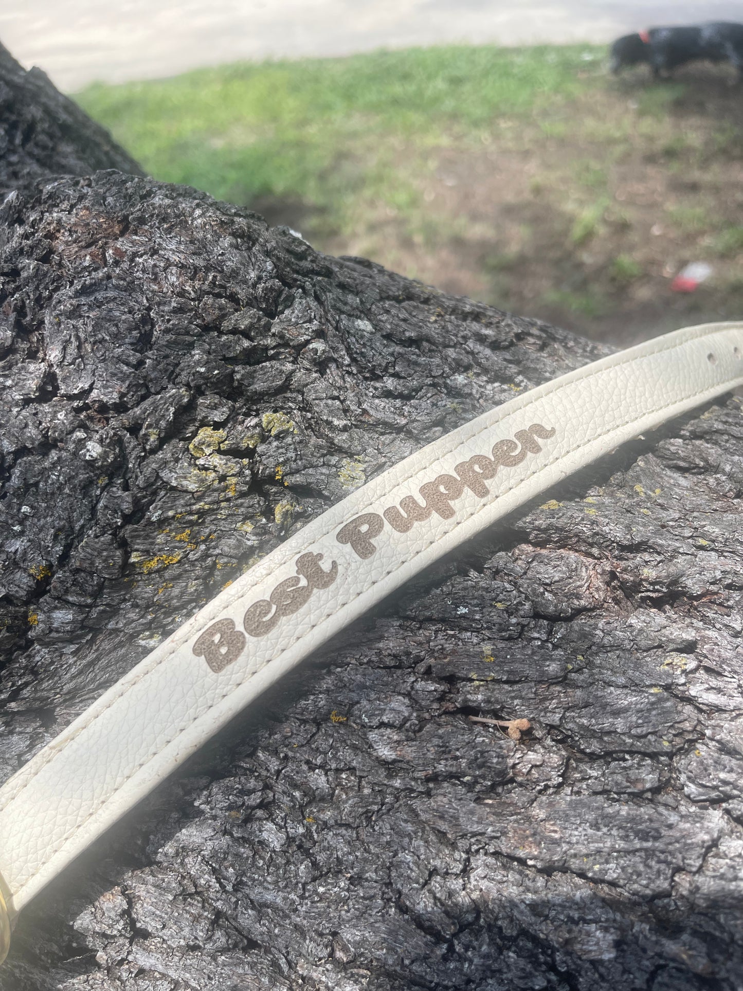 Custom handmade dog collar with personalization, name, variety of colors
