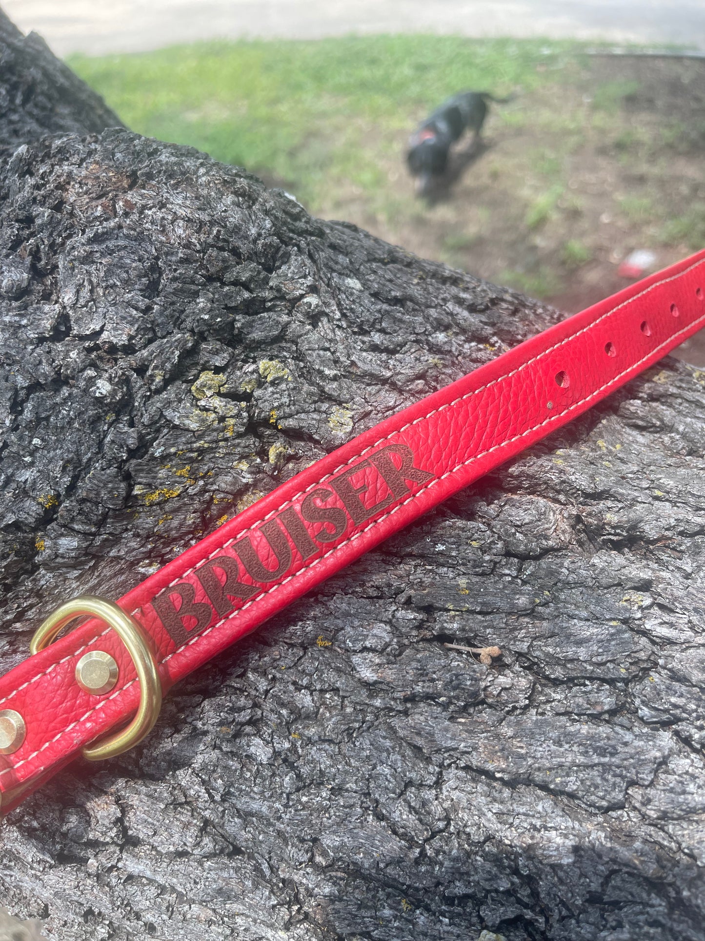 Custom handmade dog collar with personalization, name, variety of colors