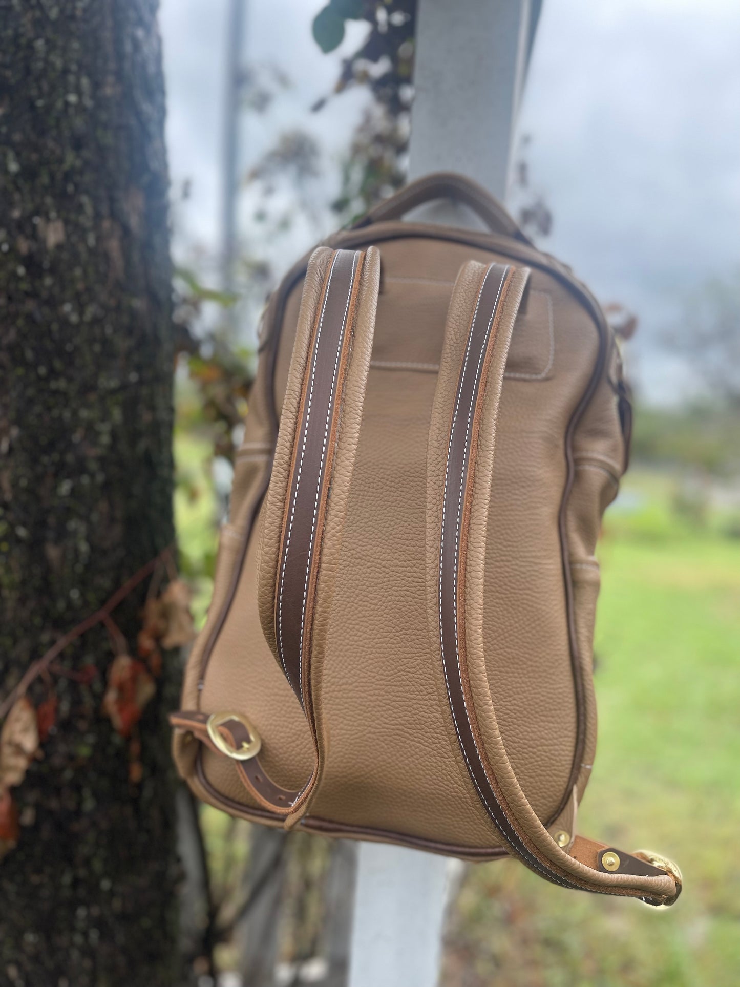 Leather Backpack with Axis