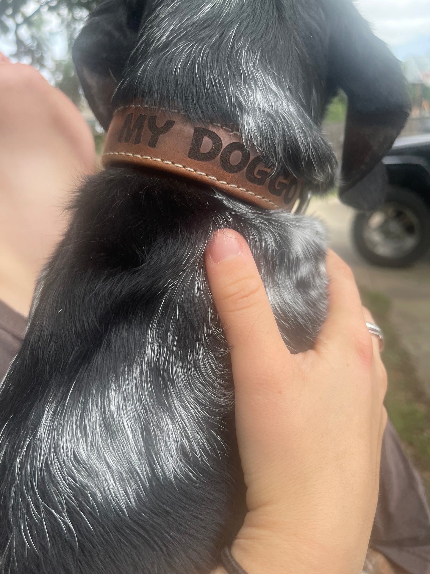 Custom handmade dog collar with personalization, name, variety of colors